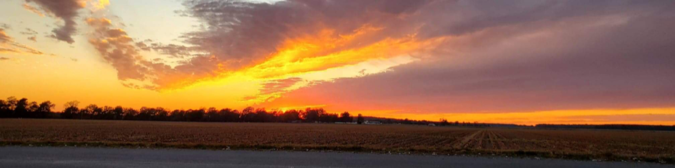 Orange Sunset - Garry Makamson Farms